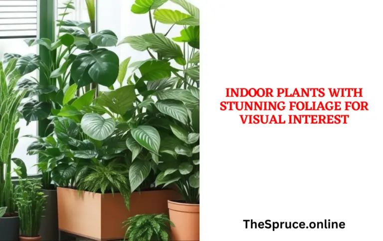 Indoor Plants with Stunning Foliage for Visual Interest