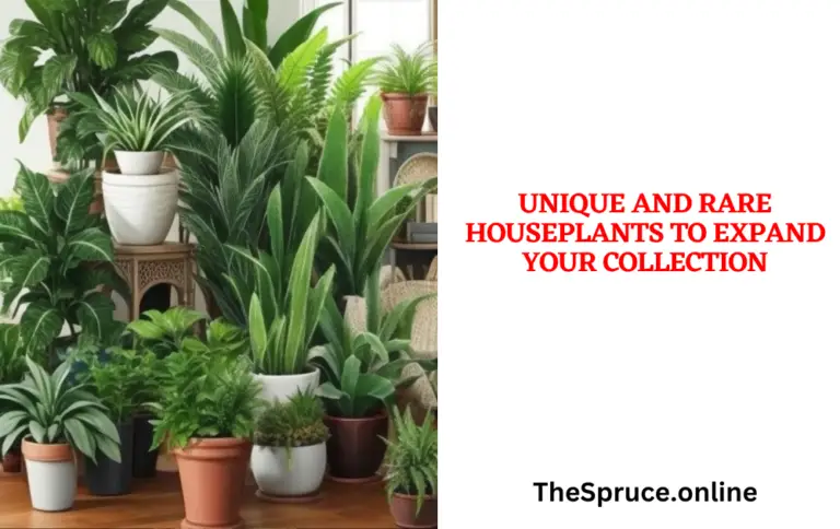 Unique and Rare Houseplants to Expand Your Collection