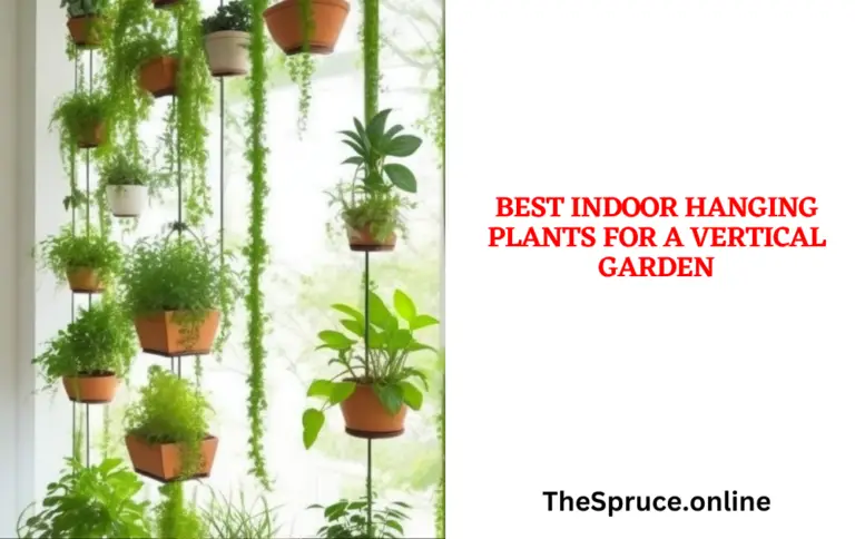 Best Indoor Hanging Plants for a Vertical Garden