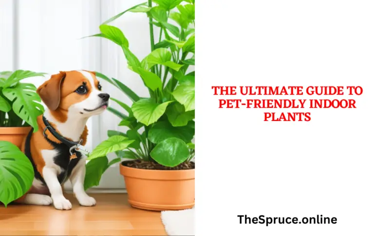 The Ultimate Guide to Pet-Friendly Indoor Plants