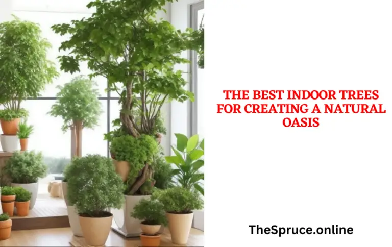 The Best Indoor Trees for Creating a Natural Oasis